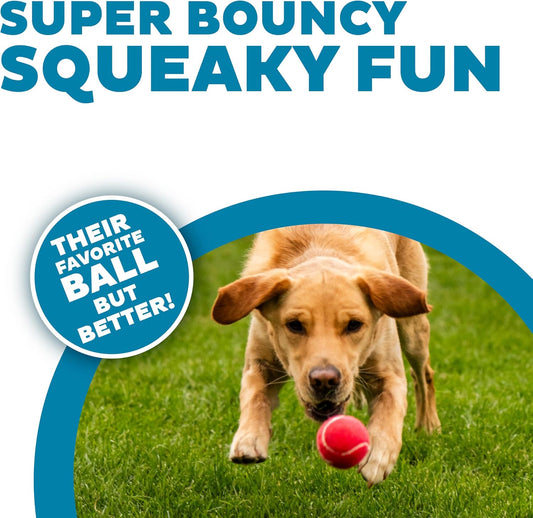 Outward Hound Squeaker Ballz Tennis Ball Dog Toy, Medium, 2.5", 4‑Pack
