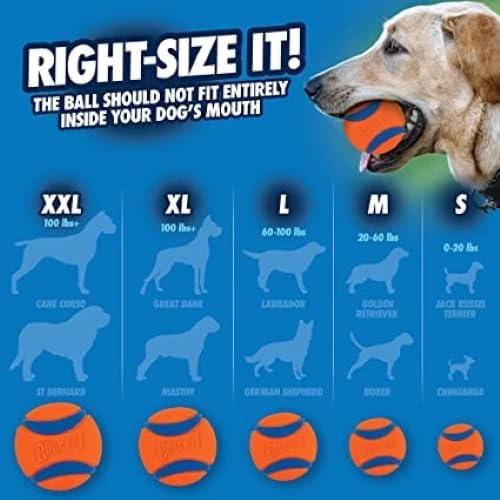 Chuckit! Ultra Ball Dog Toy with Cleaning Bucket, Medium 2.5-in, 8-Pack