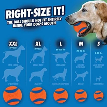 Chuckit! Ultra Ball Dog Toy with Cleaning Bucket, Medium 2.5-in, 8-Pack
