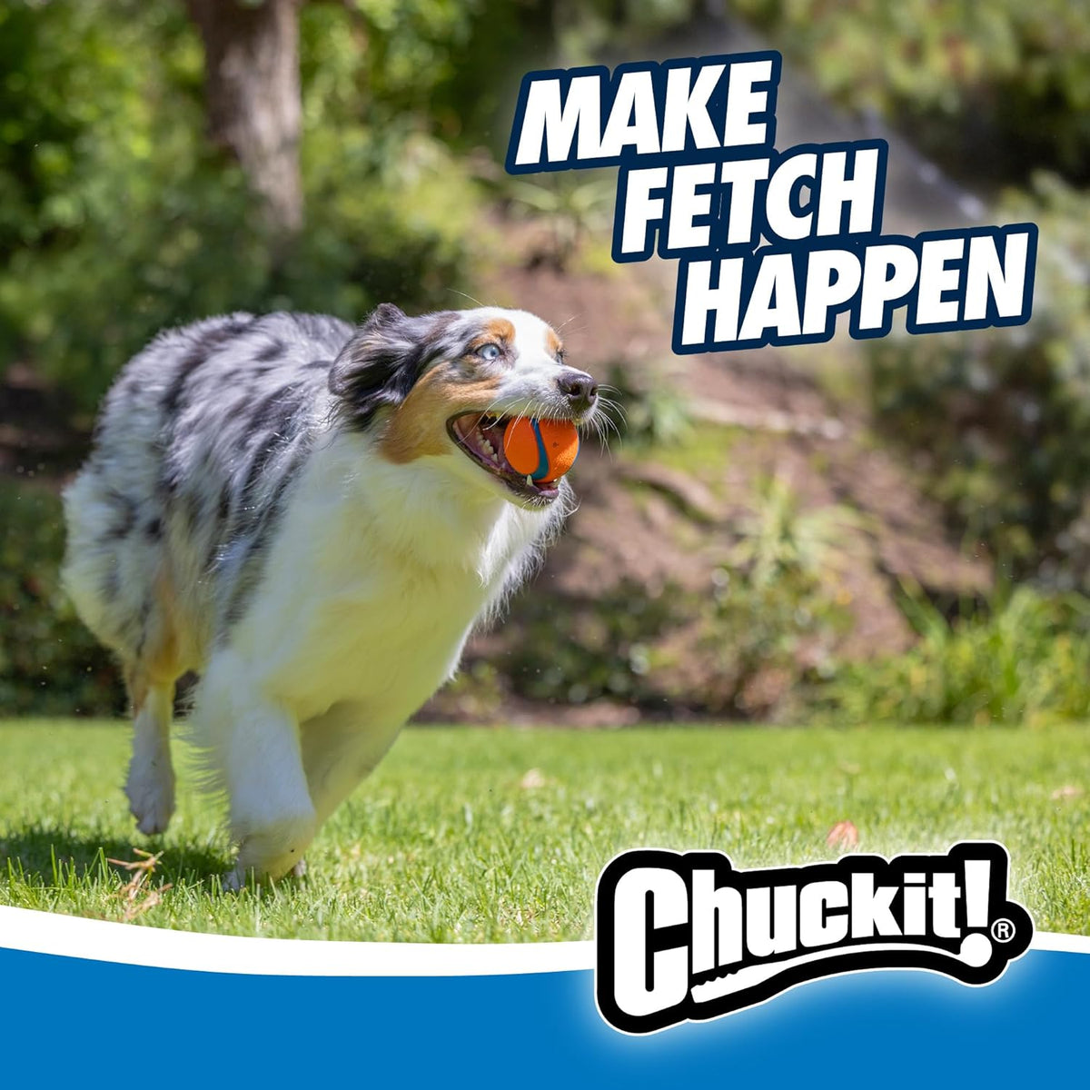 Chuckit! Ultra and Rugged Dog Balls, High-Bounce Fetch, Medium, Set of 3